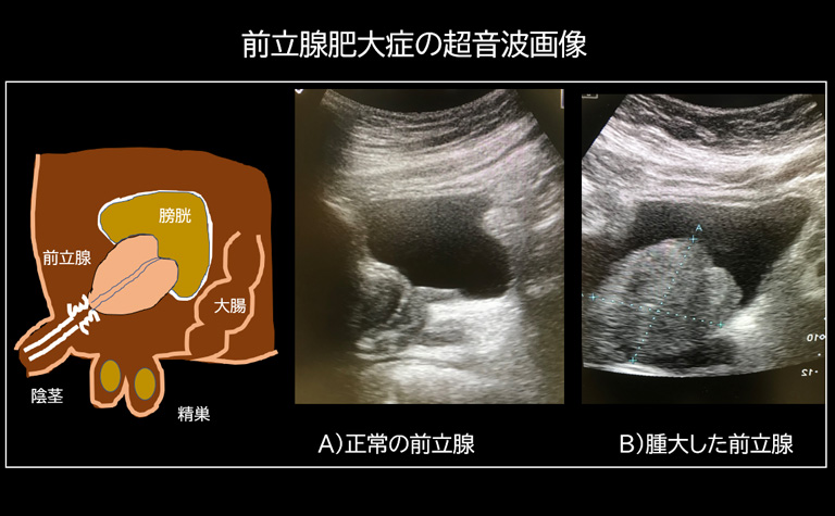 泌尿器科 湘南平塚クリニック 泌尿器科 皮膚科